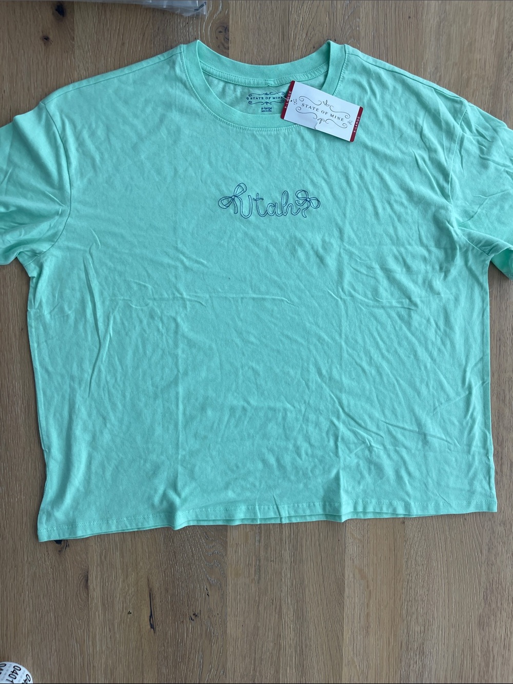 State‎ of Mind Mint Green 'Utah' Short Sleeve Tee